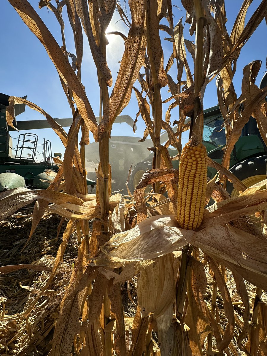 Bodie Kitchel tweet media