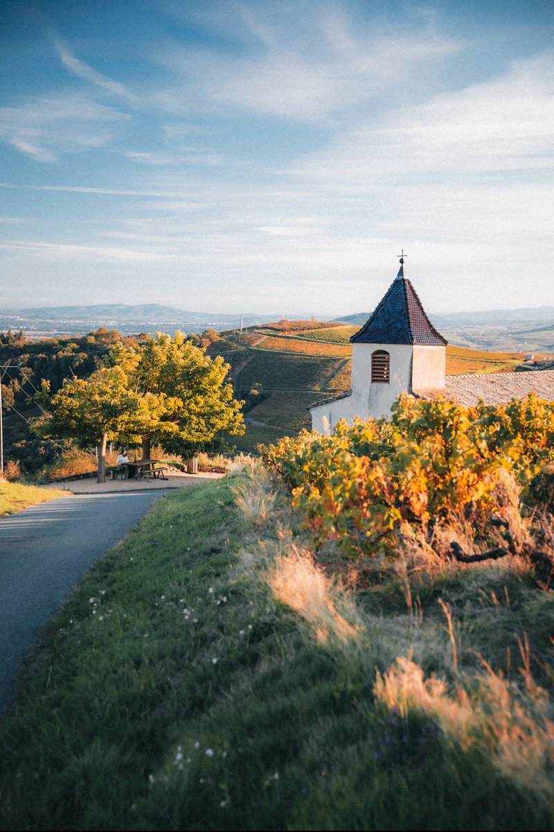 senineldar's tweet photo. Chiroubles, France https://t.co/dmO0rQzLB9