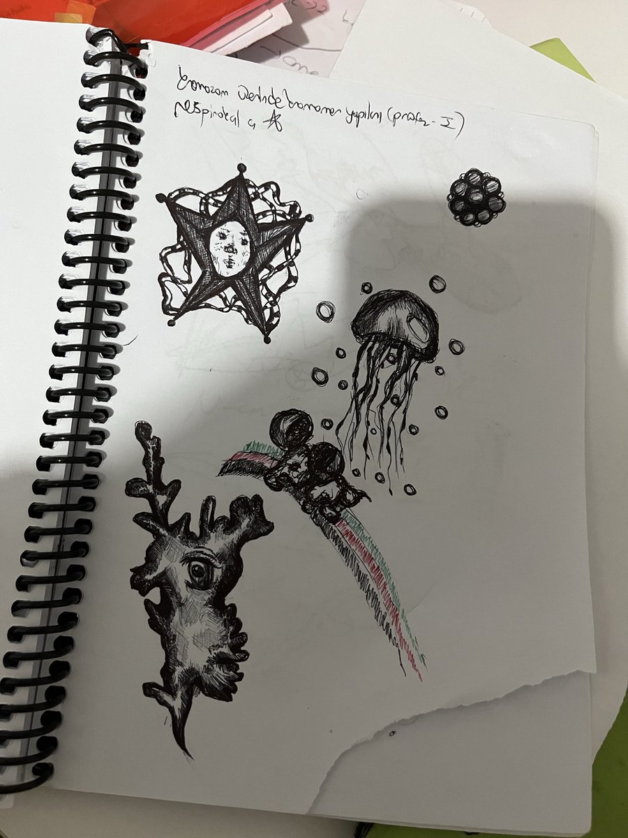 Defterleri karistirirken bulduklarimi anlatıyorum şimdi size 
Gökkuşağından uçan bir fil 
Yıldız kafalı bir surat 
Papağana benzeyen şey de çiçeğin kenarlarını çizmiştim baktım baktım ne çıkabilir çıktı işte shshs