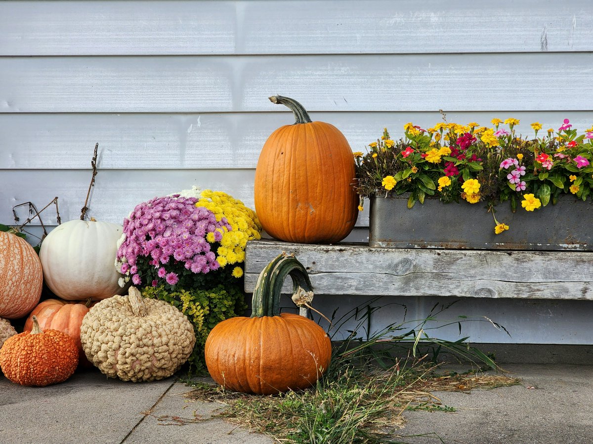 Happy Thanksgiving from <a href="/ChequePrint/">Cheque Print</a>! This season, we’re thankful for you-our amazing customers, suppliers, &amp; community who continue to trust us with your printing needs all year long. We're grateful to be part of your story.  #Thankful #Thanksgiving2025 #Gratitude #PrintLocal