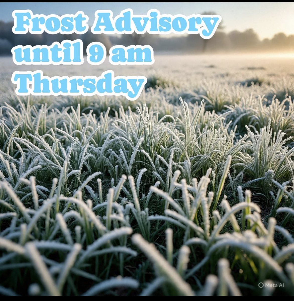 Frost Advisory until Thursday morning .
Bring in your house plants
