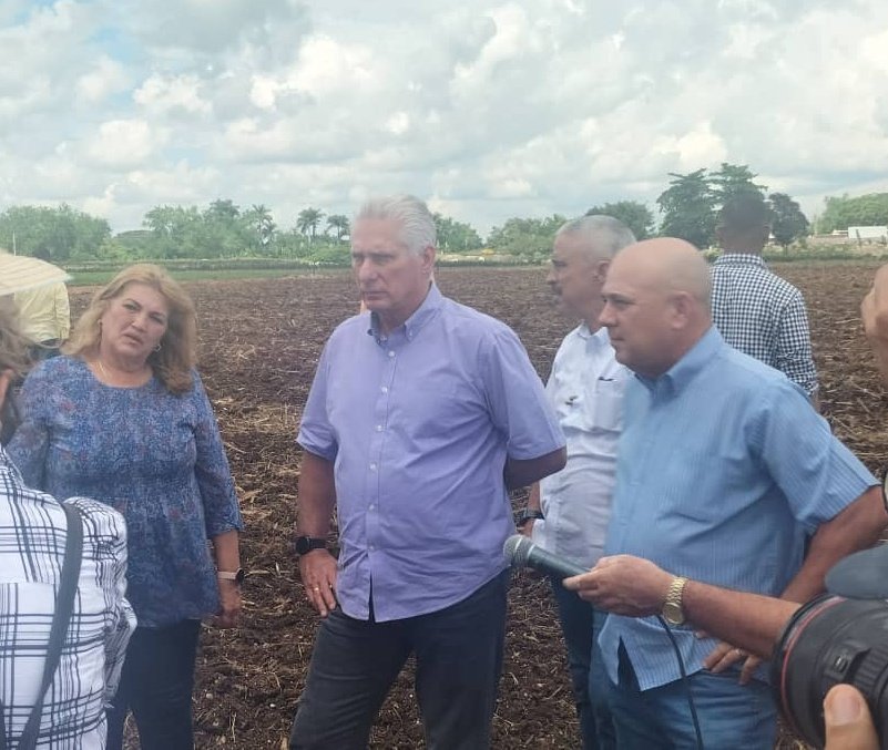 DrRobertoMOjeda's tweet image. Esta tarde recorrimos áreas de la UBPC Argelio Calderón, ubicada en tierras del spirituano #Jatibonico.
Allí vimos como se diversifican producciones y se trabaja intensamente para cumplir con los compromisos referidos a la siembra de caña. #DePieYCombatiendo