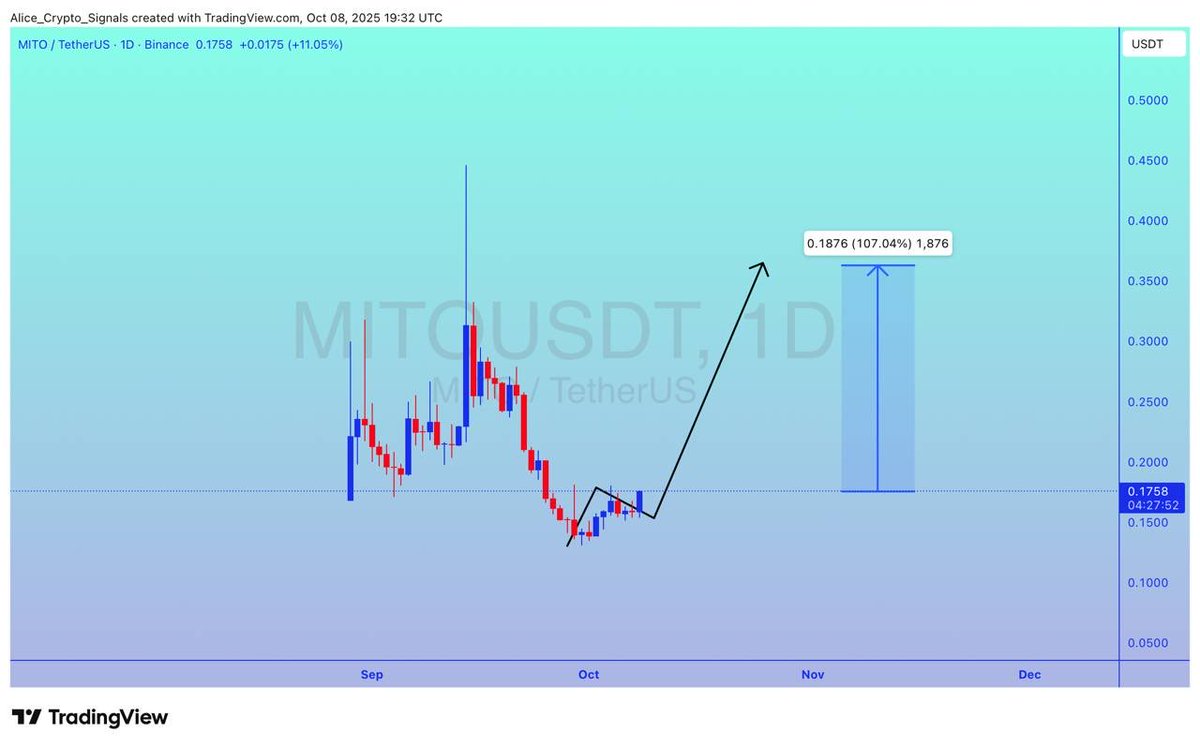Allice_Crypto's tweet photo. $MITO
UPDATE
#MITO is getting ready for a good bullish wave. Expecting 100%+ gain here βπ»
#MITOUSDT #MITOBTC https://t.co/fnyJD3RbNa
