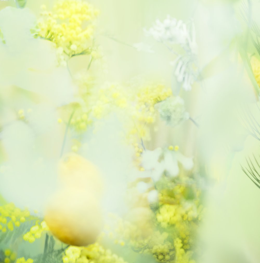 J.D. Reeves tweet media