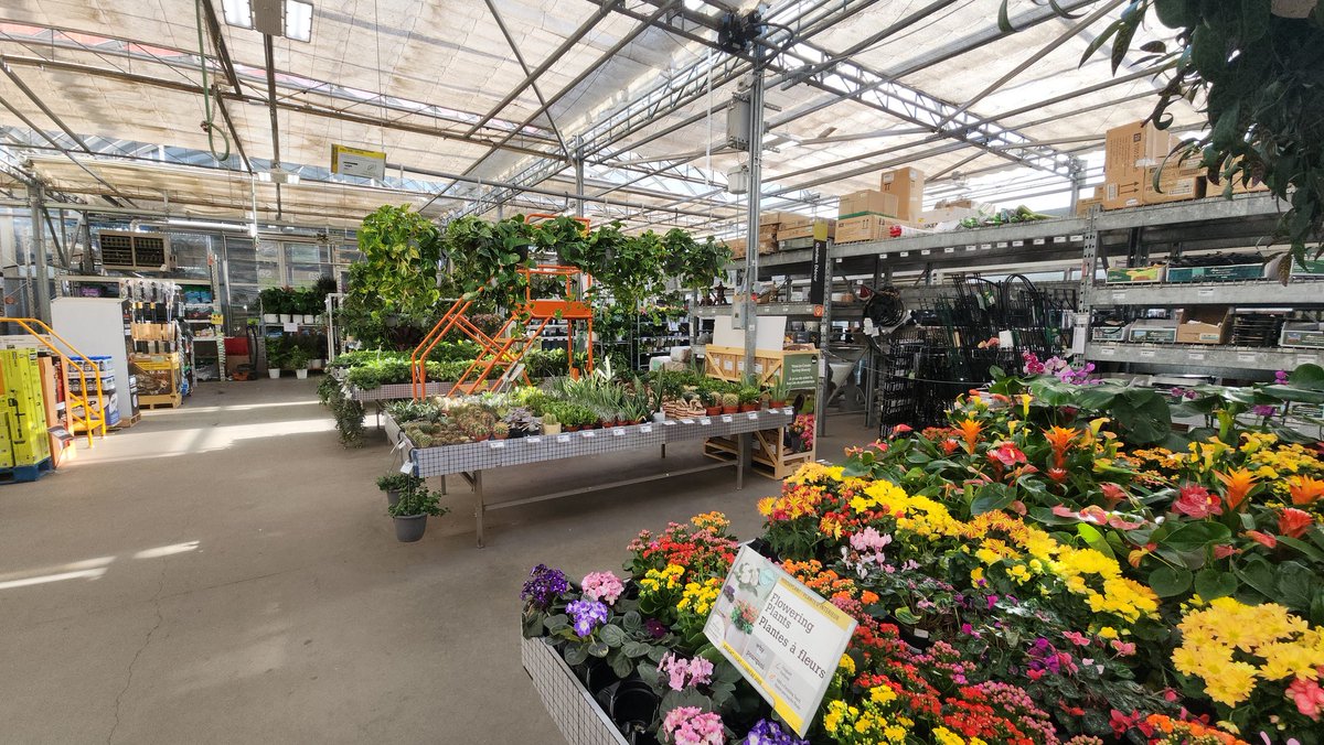 Kyle Brittain tweet media