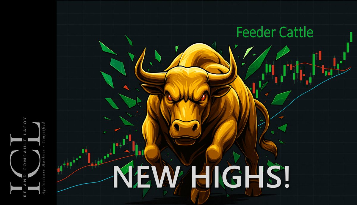 Feeder cattle &amp; gold make new highs, soybeans see gains, other markets hold the line.

Watch here:
youtu.be/1gVdLH18Mcw
#soybeans #canola #cattle #gold #wheat #grainmarketing