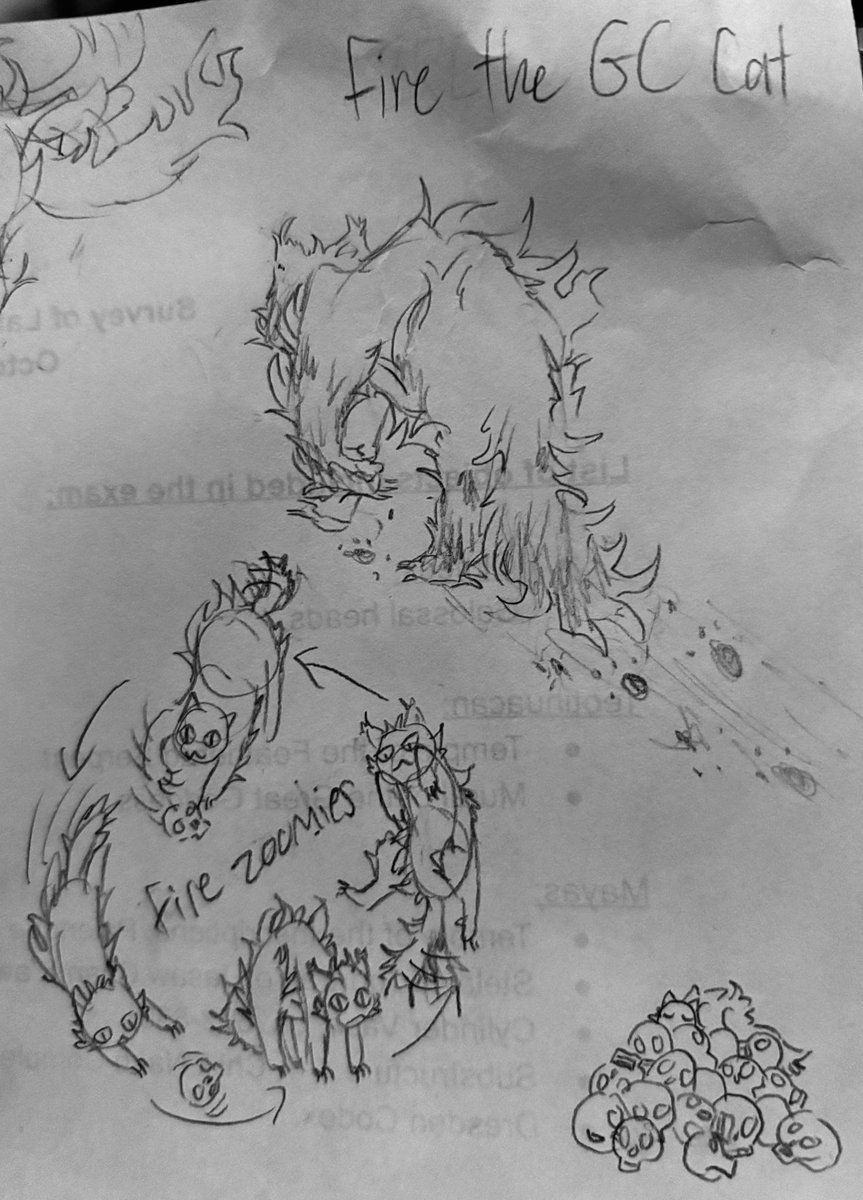 Cake🦈 tweet media