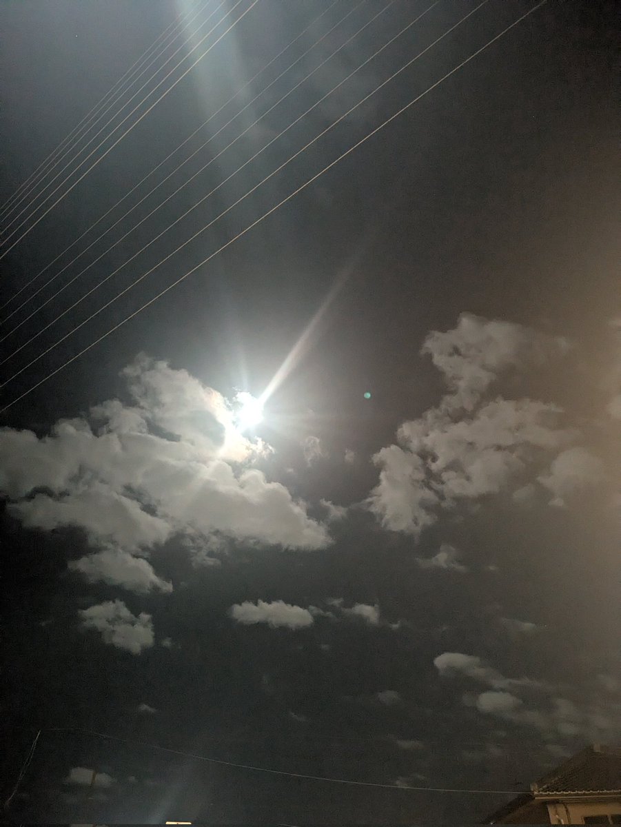 s14Fs4z4XsI7hQt's tweet image. おはようございます☀10月9日、木曜日。堺市到着です✨今週の最終便🚚📦️💨ここ下ろしたら大阪八尾市で帰り荷積みます。あっと言う間の１週間だった気がします。目の前の公園の彼岸花が綺麗に咲いてます。週末晴れると良いな。毎年10月いっぱいまでしかバイク乗らないので。今日も一日御安全に〜👍🙇