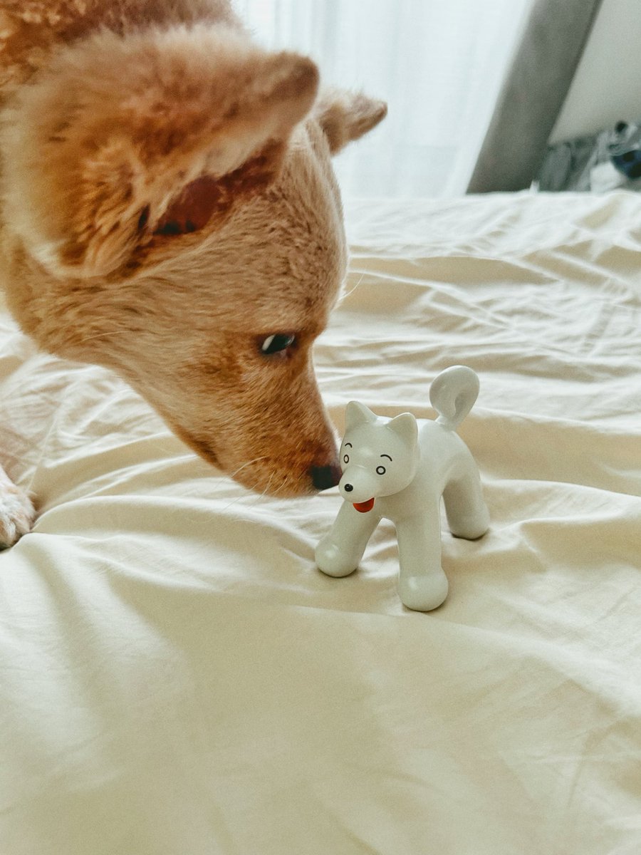 猋社｜つむじかぜしゃ on X: 