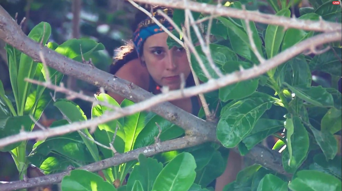 Close enough…

Welcome back Tony Vlachos.

#Survivor49