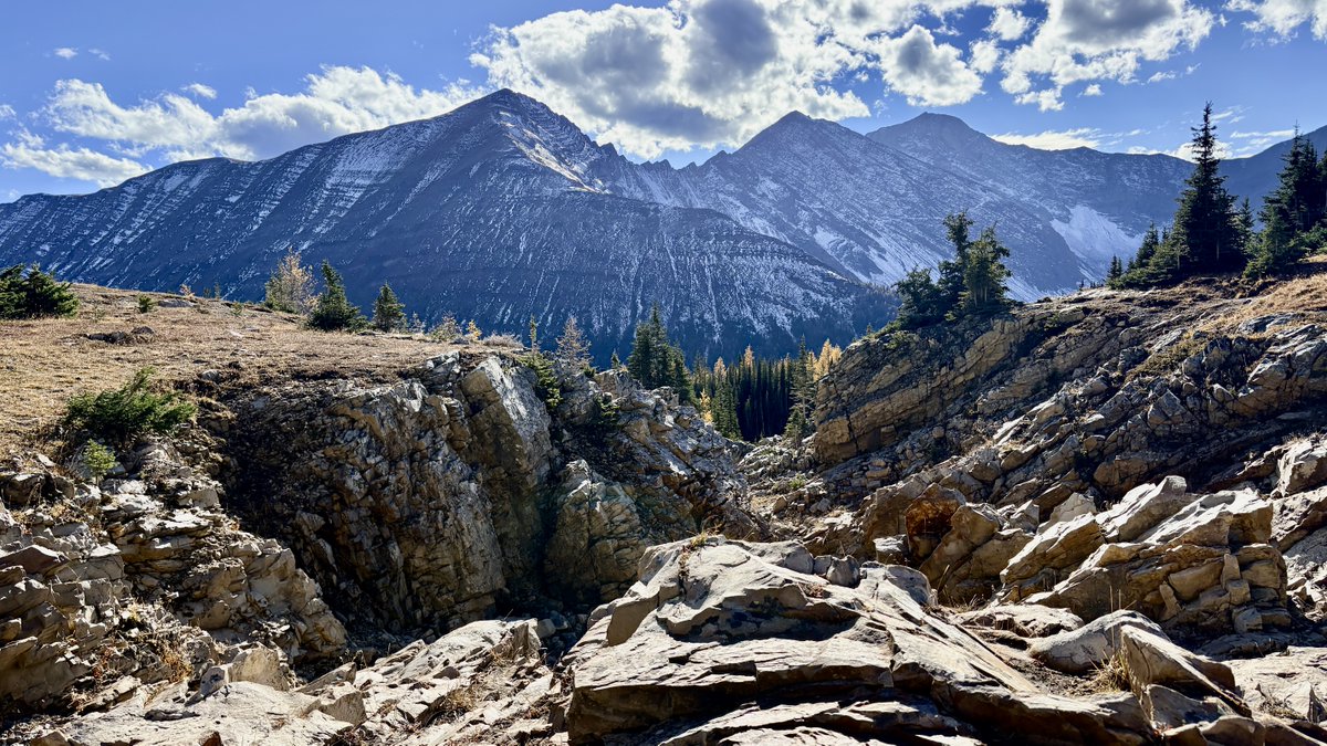 Tim Criddle tweet media