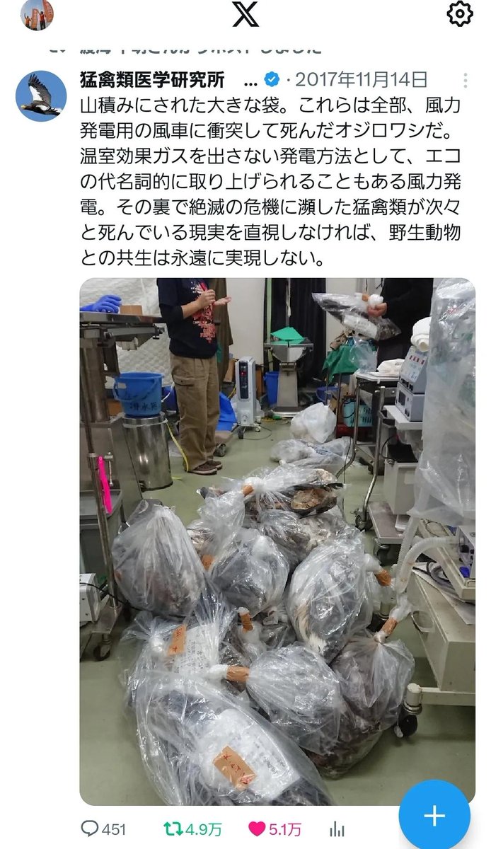 TetuwanA's tweet image. 風力発電の影響は
 電力 高騰 だけではない。
野生動物の犠牲の上に成り立っているのだ。