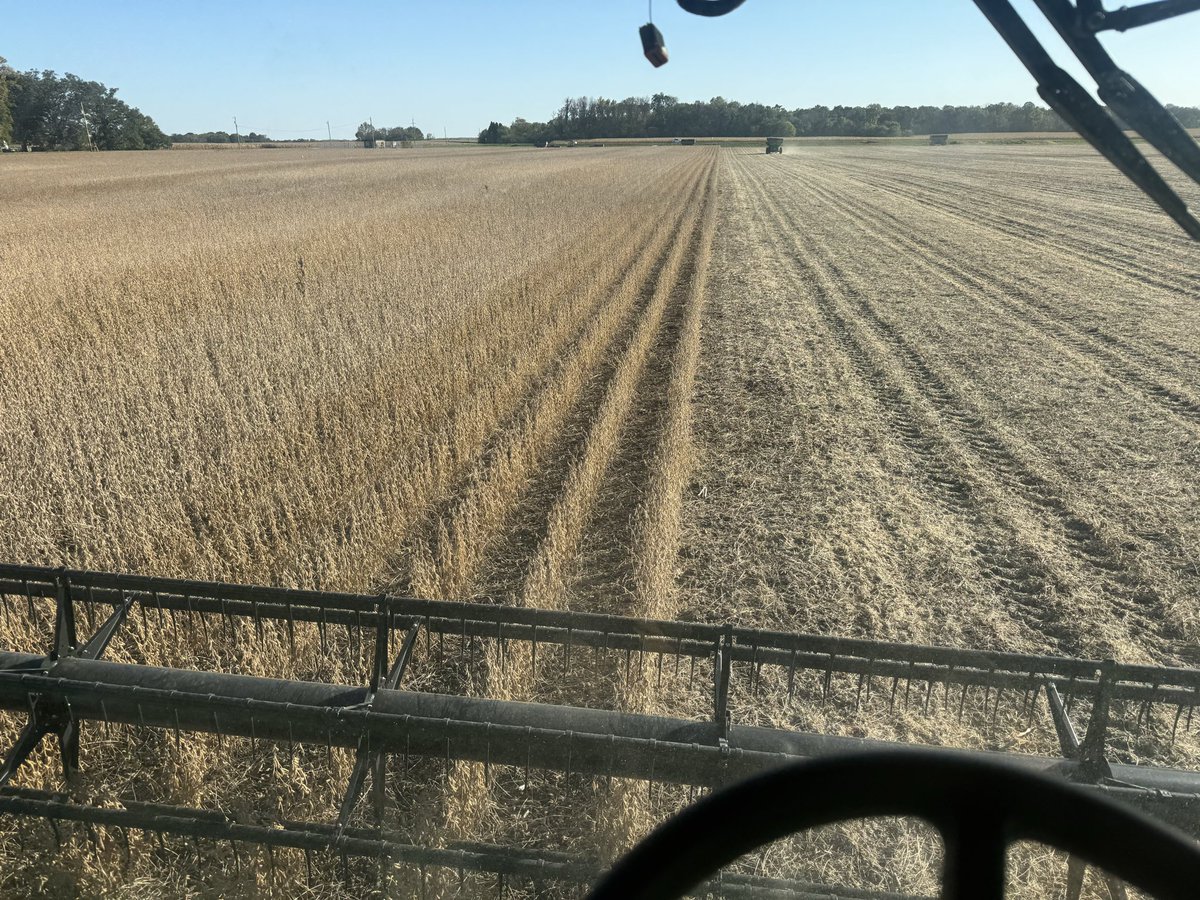 2025 soybean plots complete