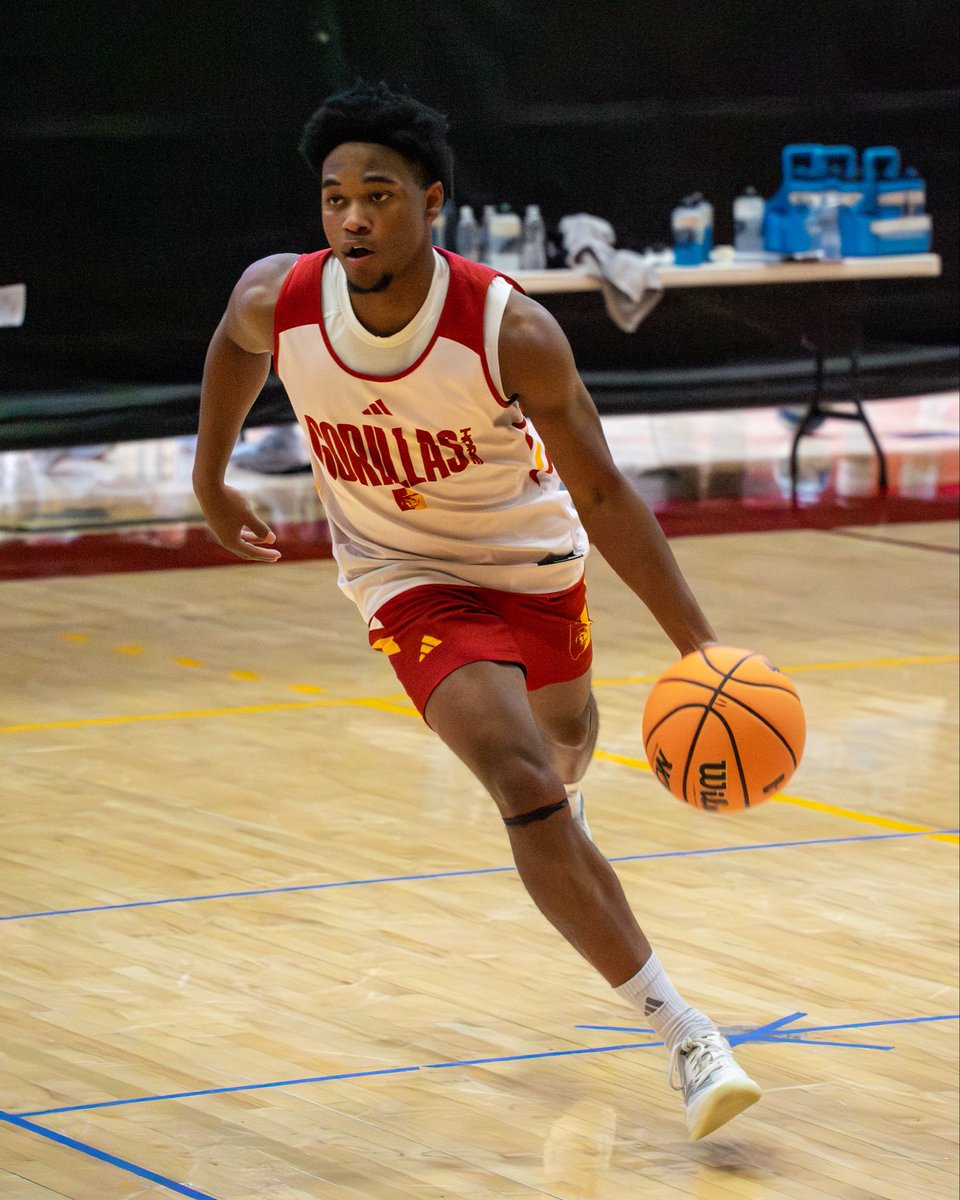 𝙵𝚒𝚛𝚜𝚝 𝚙𝚛𝚊𝚌𝚝𝚒𝚌𝚎 𝚒𝚜 𝚒𝚗 𝚝𝚑𝚎 𝚋𝚘𝚘𝚔𝚜 ✅

#oagaag || #gorillanation
📸: <a href="/T_Conrad18_/">Titus Conrad</a>