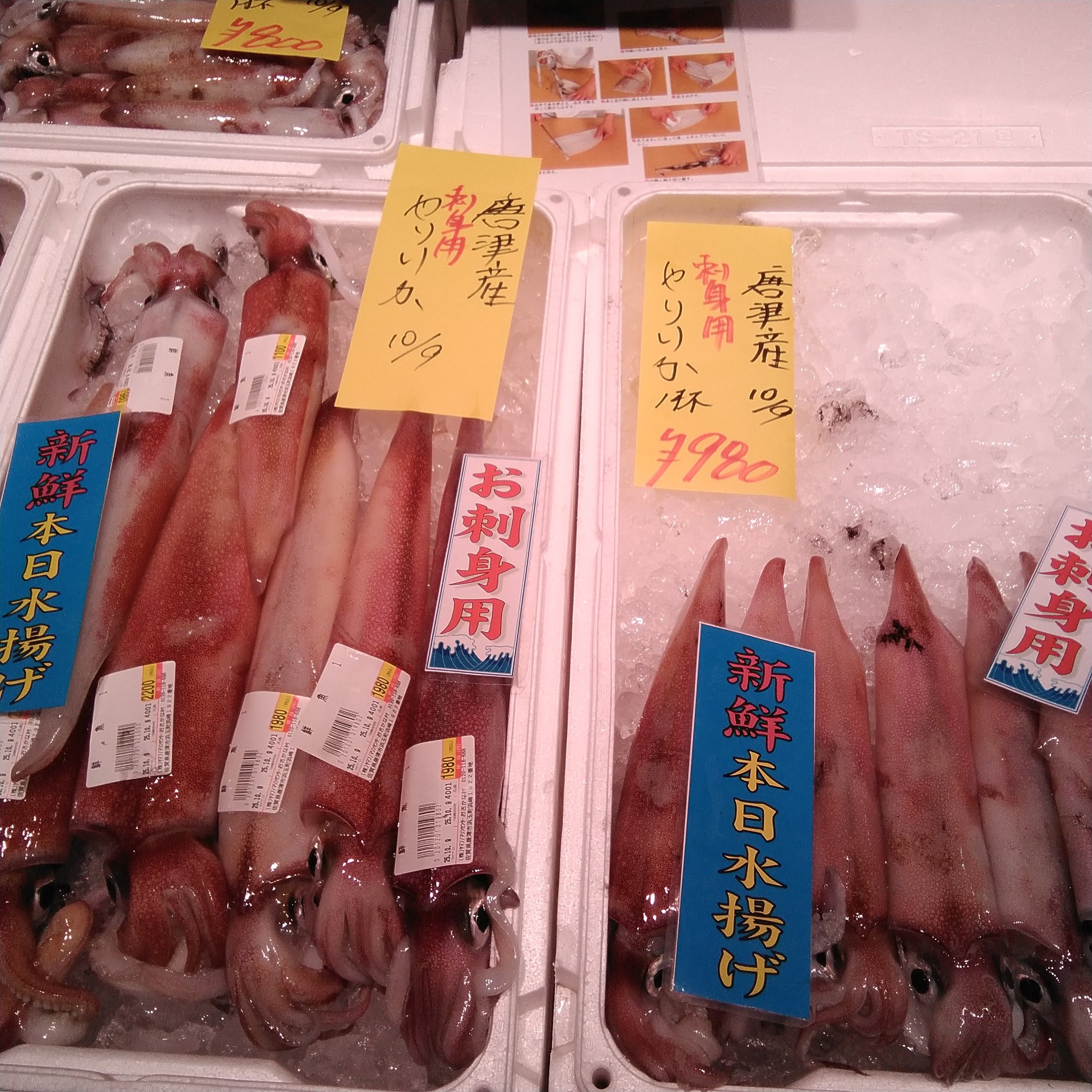 おさかなさん。 江戸屋】おさかなさん76g（3351） | 【 公式 】北の箱 〜 北海道