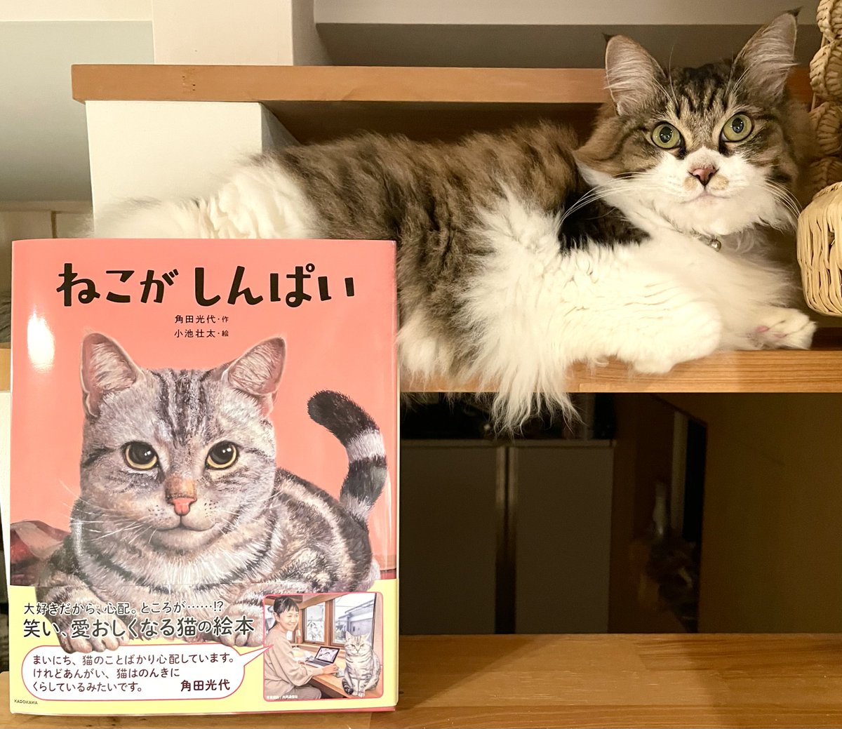 みゃうさん専用　11本 みゃうさん専用 11本 みゃうさん専用 11本