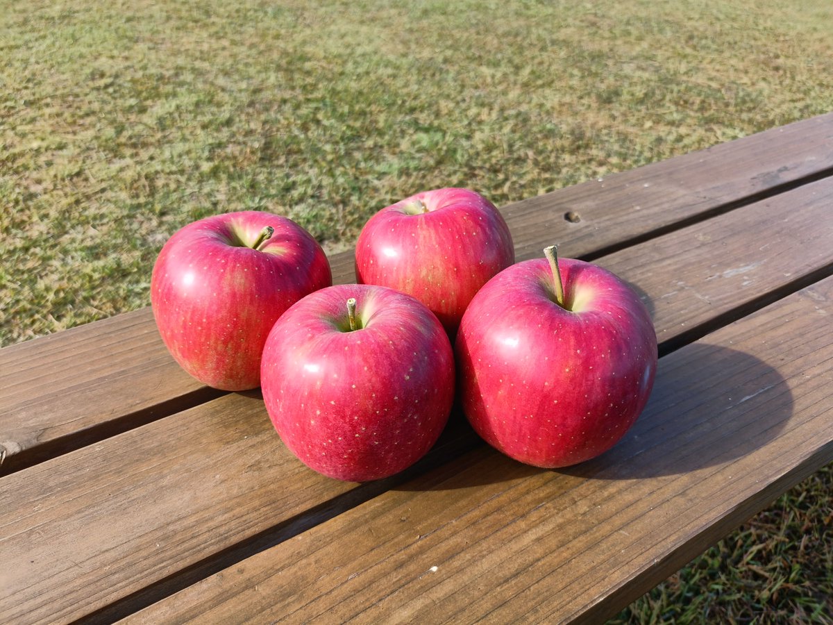 りんご 楽天市場】【ふるさと納税】2025年度産 先行予約!≪内容量が選べる