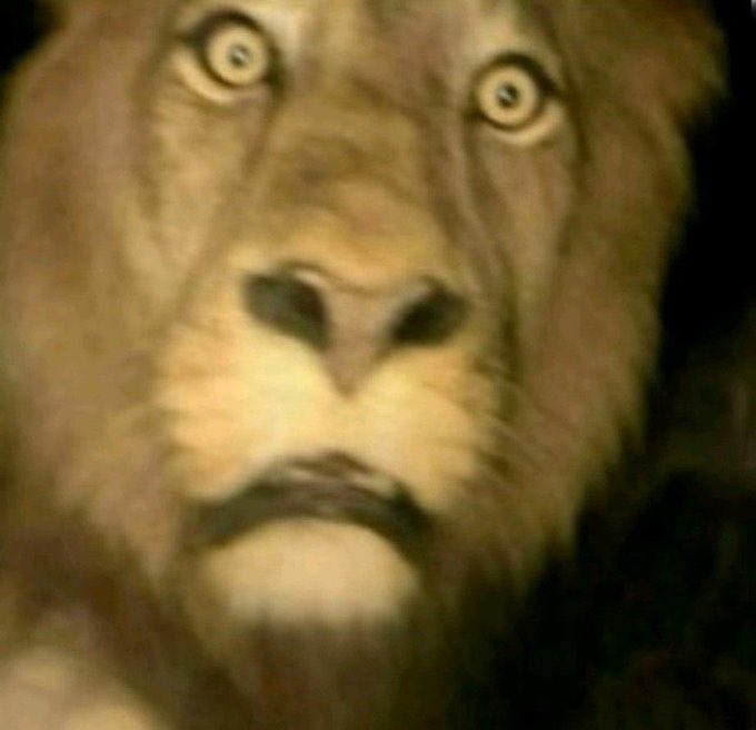 Gece gece şöyle dikendir ayağa #sallandık #deprem #simav #kütahya