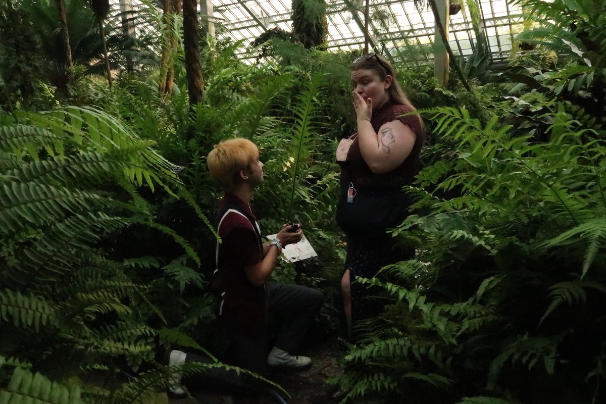 mars oh-heely-uh tweet media