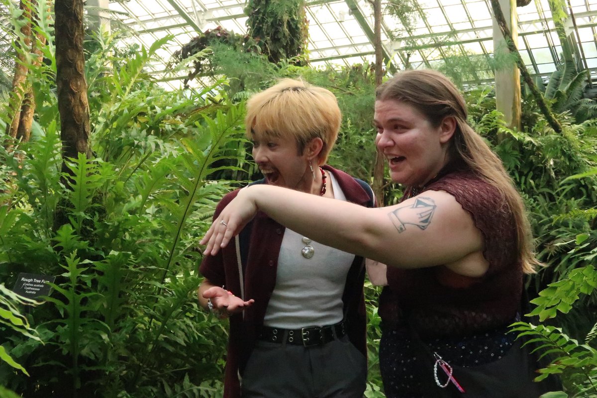 gonna be mr. The Band now