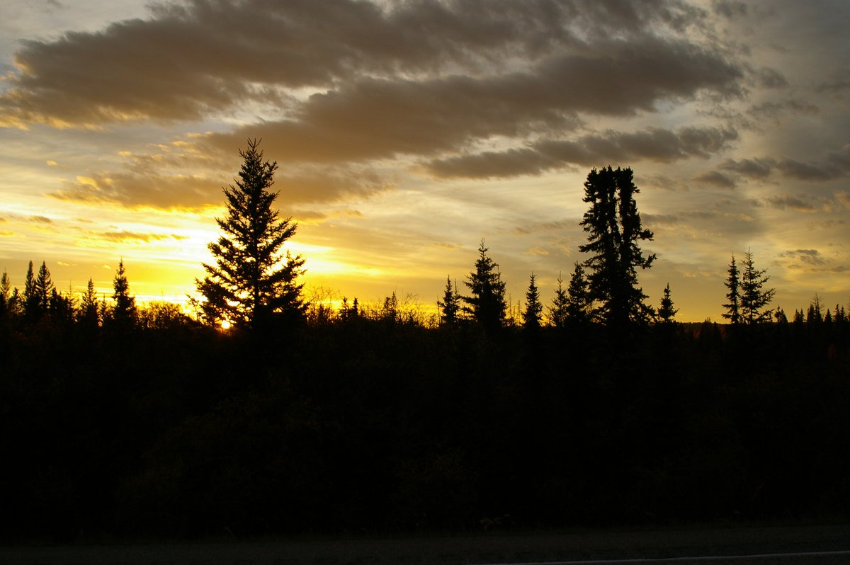 Big Johnson (@bigjohnson9111) on Twitter photo Wishing everyone a good night. Wishing everyone a good night.