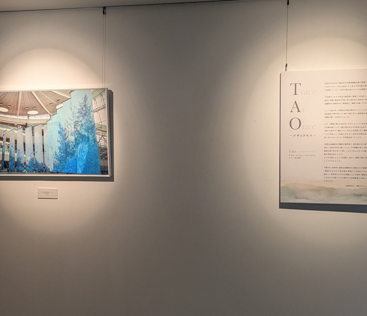 公式】軽井沢千住博美術館 on X