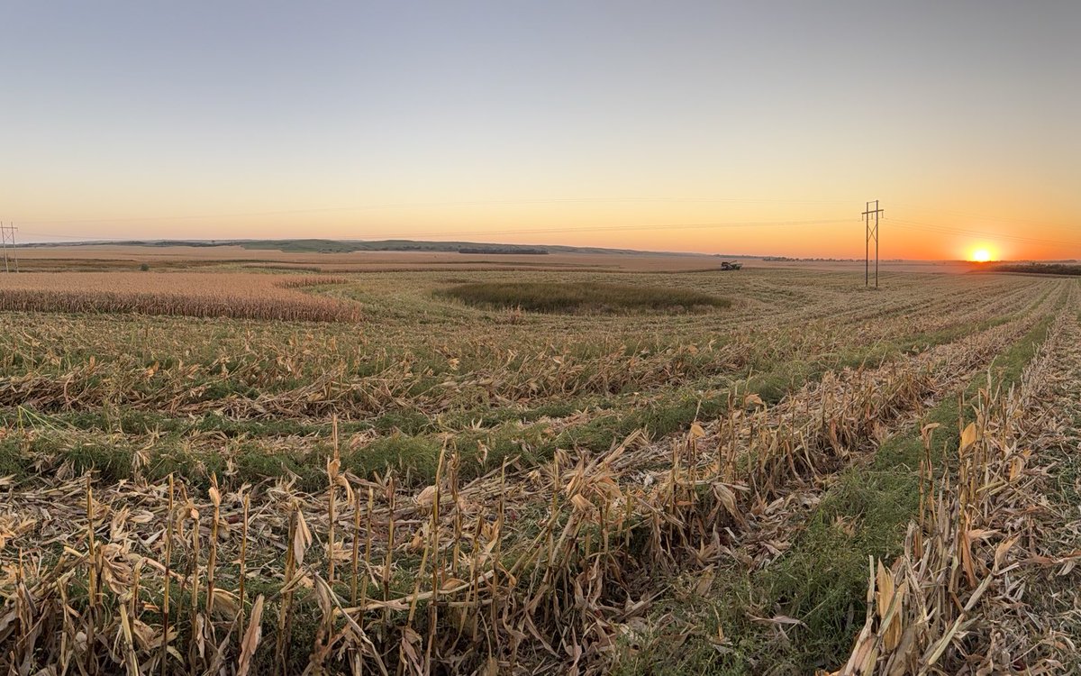 Joe Breker tweet media