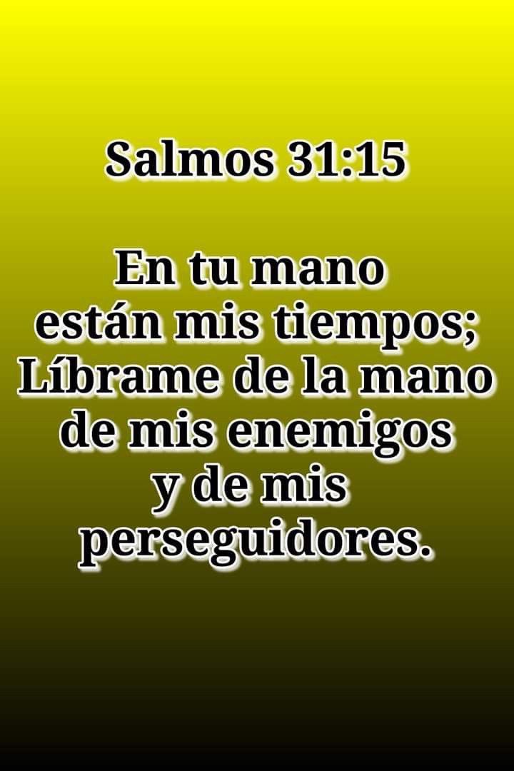 fernando garcia (@fernand81566062) on Twitter photo 