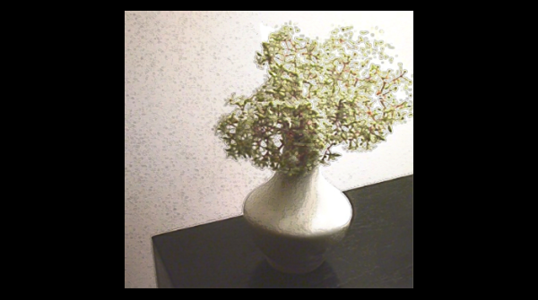 Theresa Marchione tweet media