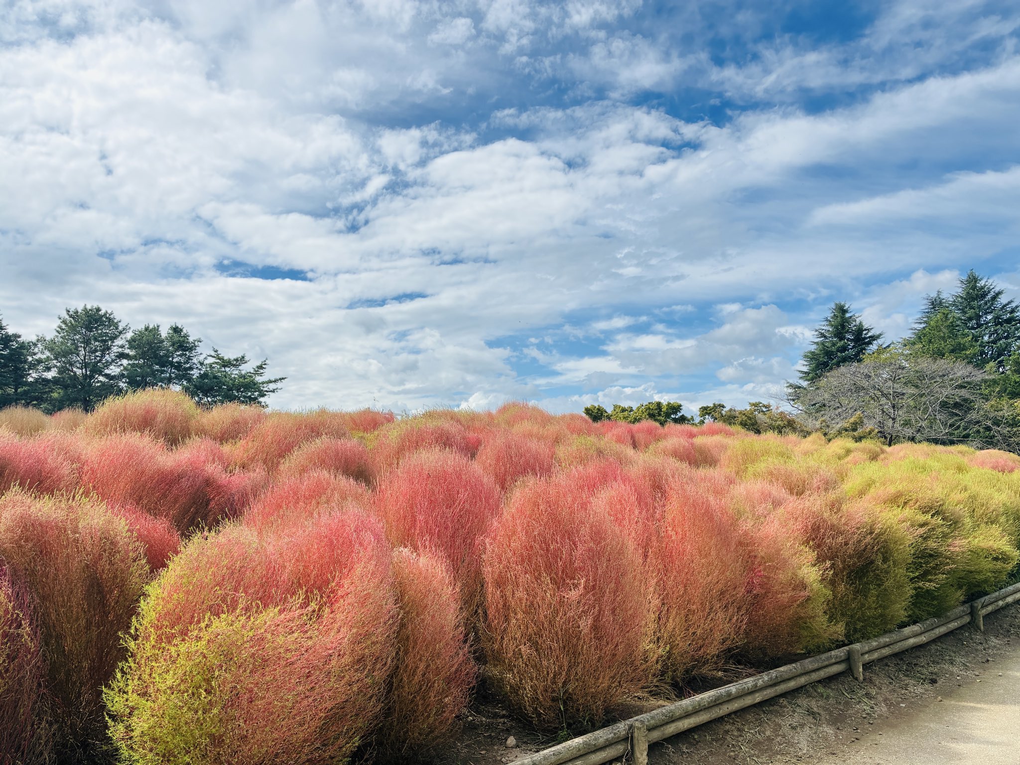 川のある風景 川のある風景』 シスレー 6号 立体複製名画 額装付 【ポイント5