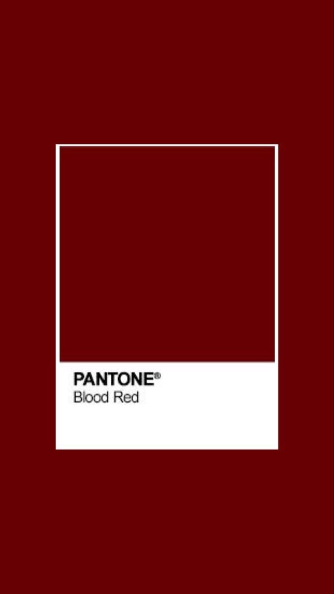 GH0STL1K's tweet image. como o pinterest te vê?
fashion
pantone
mood
food