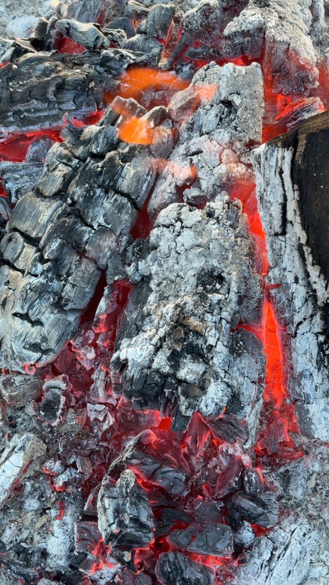 PERCULES4ever's tweet image. 🌲🔥🪾