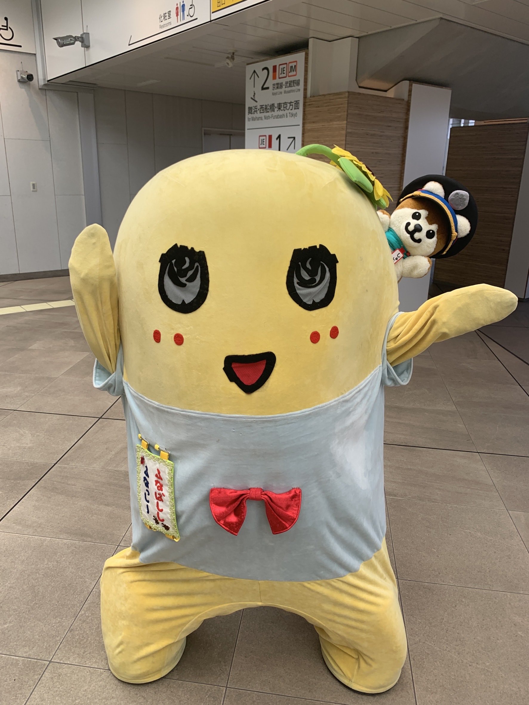 NHKの天気予報でおなじみしゅと犬くんです しゅと犬くんの