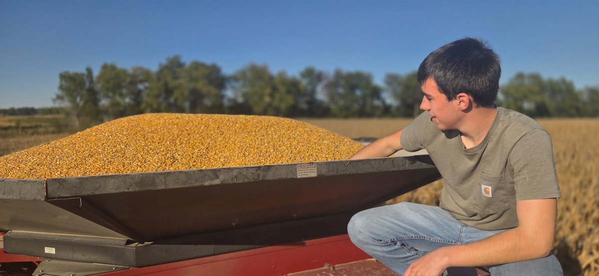 FarmrHuntr's tweet image. How it started
How it's going 
#firstcrop