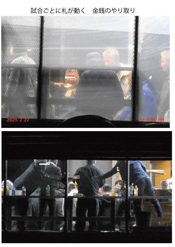 クックハウスokinawa～闘鶏で傷つき捨てられた鶏達の生きる場所～ tweet media