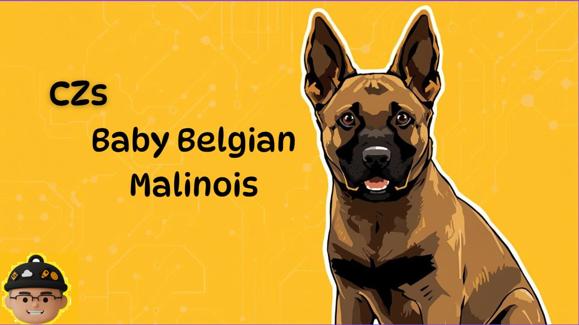 NikicaTiro45117's tweet image. I found this bad boy just launched and ready to pop
0xa0FF09804cb86be7d672491c1778a30740F4a58f