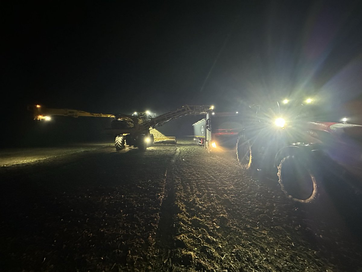 #buraki #nocnemanewry #rolnictwo