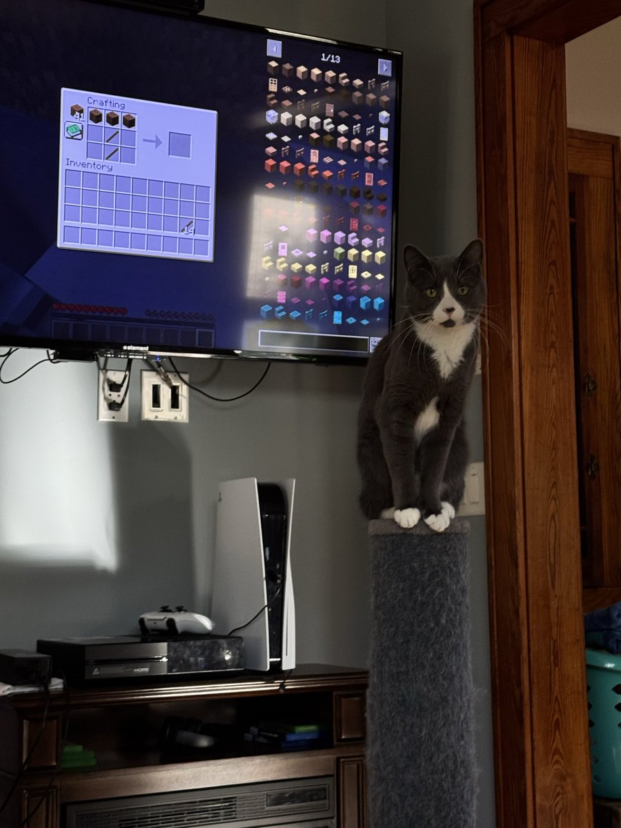 MadDawg906's tweet image. Steve’O Watching Minecraft 😂❤️😊😸
#Minecraft #MinecraftJava #Cats #MinecraftBedrock #FurBabies #SillyCats #CoolCats #CuteCats #BlowThisUp @Minecraft