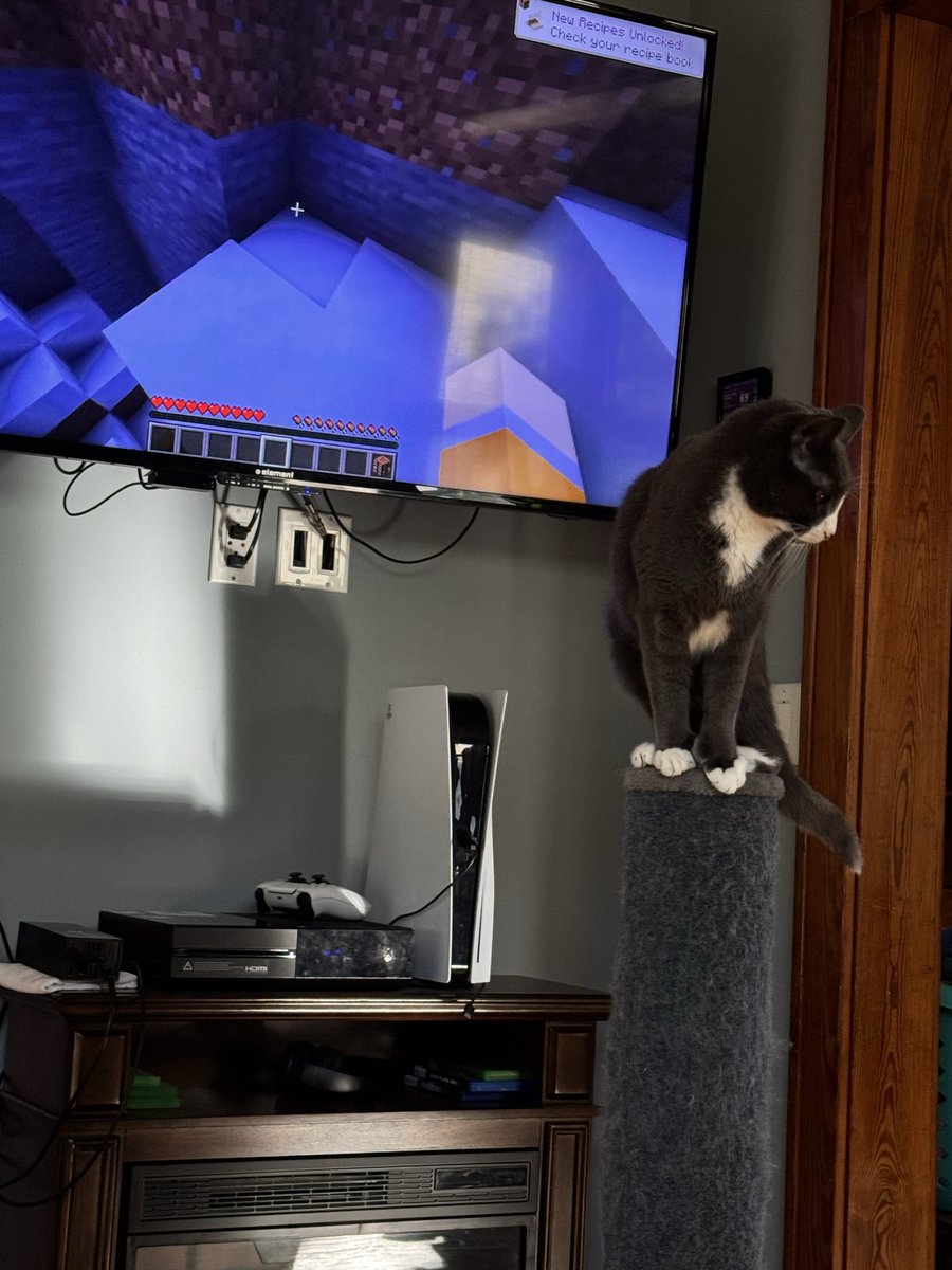 MadDawg906's tweet image. Steve’O Watching Minecraft 😂❤️😊😸
#Minecraft #MinecraftJava #Cats #MinecraftBedrock #FurBabies #SillyCats #CoolCats #CuteCats #BlowThisUp @Minecraft