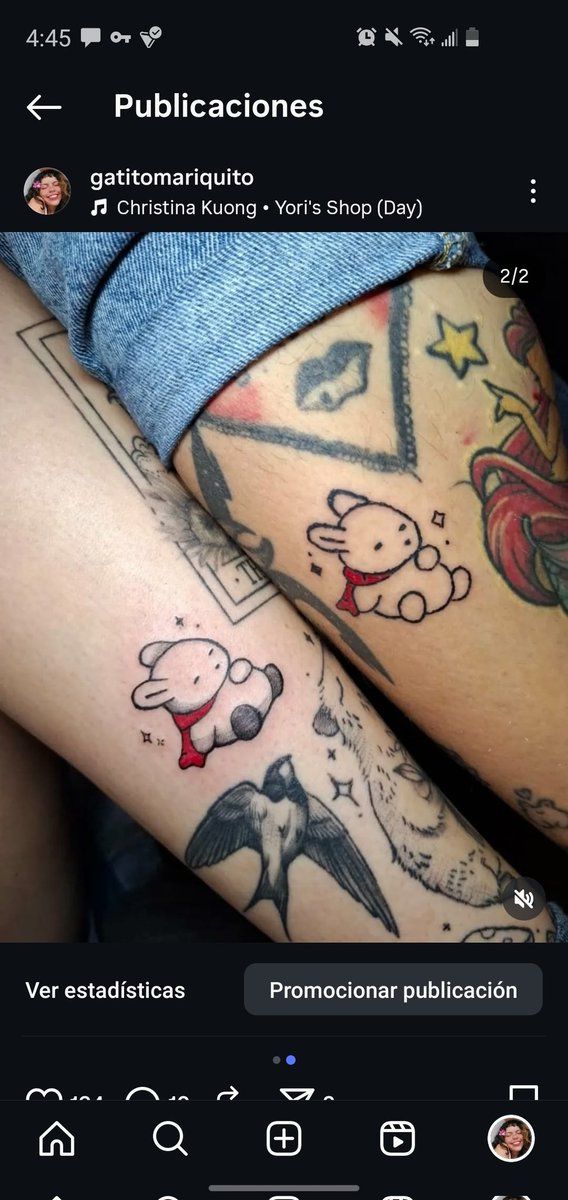 Gatito Mariquito tweet media