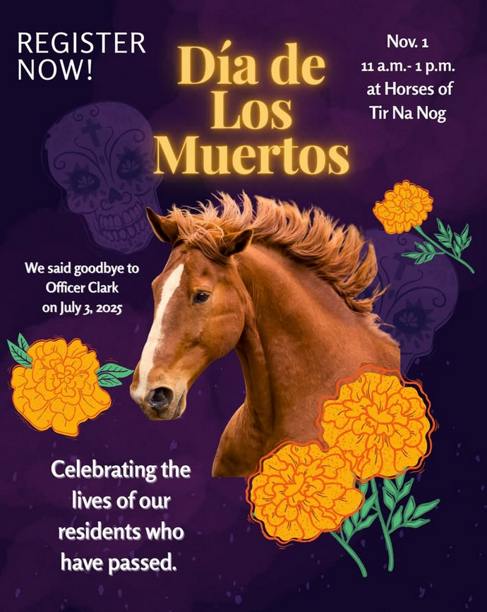 SDgiving's tweet photo. You're invited to our Dia De Los Muertos open house on Nov. 1st! 

We will be celebrating the lives of horses and other ranch residents who have passed. Enjoy a self-serve nacho bar, a photobooth, and an opportunity drawing.

https://t.co/SBpAytouWY https://t.co/CRLGOLY211
