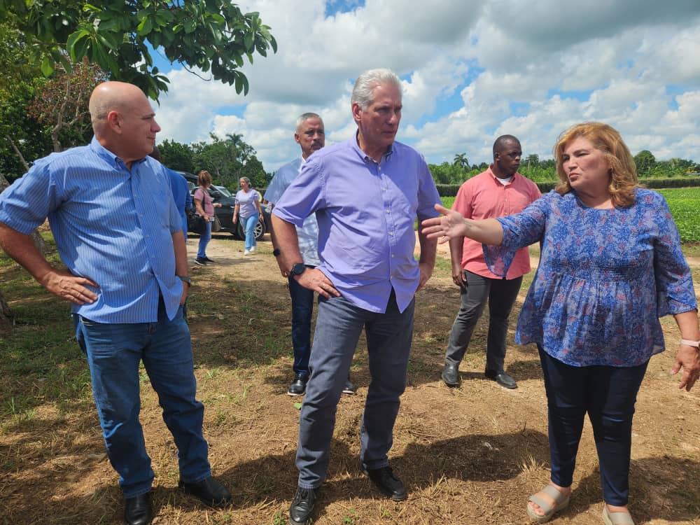 🇨🇺 En #Jatibonico, el Primer Secretario del PCC y Presidente constata avances en programas económicos y sociales, reafirmando el compromiso con el desarrollo del territorio. #SanctiSpíritusEnMarcha sigue firme, con acción y responsabilidad. #DePieYCombatiendo