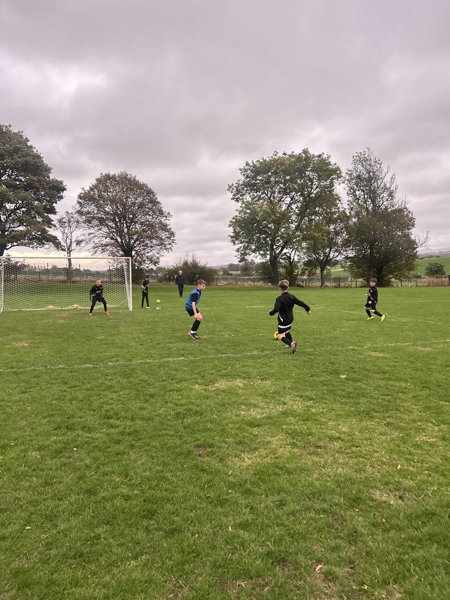 David Gold tweet media