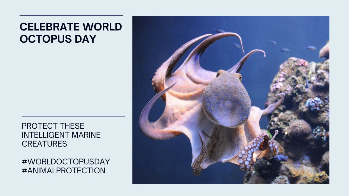 The Original Feed tweet media