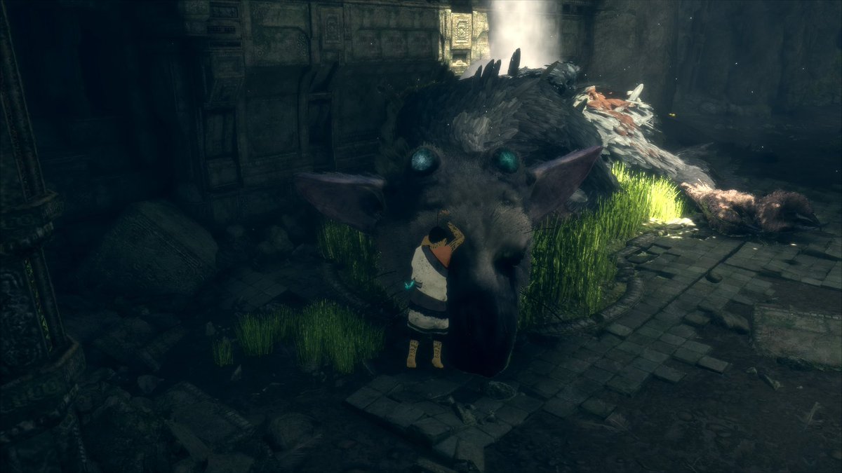 mitchie_bear26's tweet photo. Some screenshots from playing The Last Guardian because I’ve never had a game make me want to throw my controller so hard before but also make me cry with how beautiful it is https://t.co/mK2kIgGysj