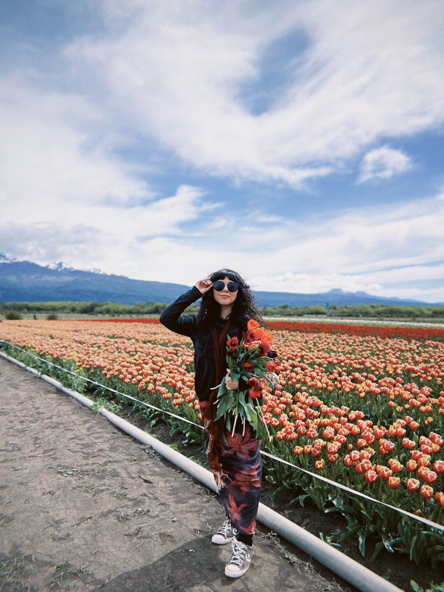 Ya puedo tachar de la lista de deseos conocer el campo de tulipanes de la patagonia 🇦🇷🌷💖