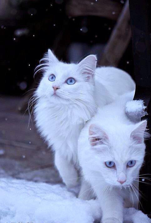 Stéphane Lefebvre - Slartzone production tweet media