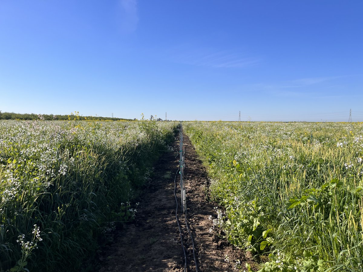 Cut input costs: Healthier soil means less fertilizer and fewer passes with the sprayer. 👈  Reason #3001 we help farmers figure out how to make cover crops work in their operation.