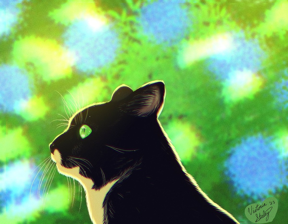 It costs $0.00 to support a 36 year old illustrator