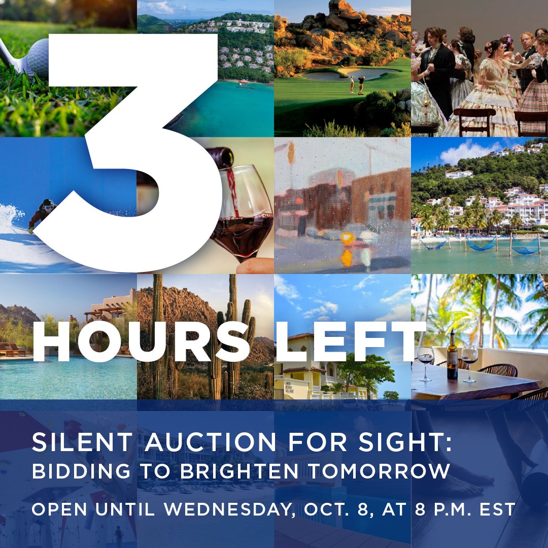 There's just three hours to go in our Silent Auction for Sight—have you placed you bid? Grab that dream vacation, unique adventure or the one-of-a-kind item you've been thinking about. Get your bid in, treat yourself and support sight-saving research. bit.ly/4nlD64k